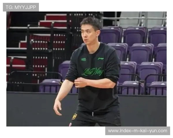 辽宁队阵容深度评估 威尔斯莫兰德外援撑场赵继伟核心领导 辽宁队阵容深度评估 威尔斯莫兰德外援撑场赵继伟核心领导